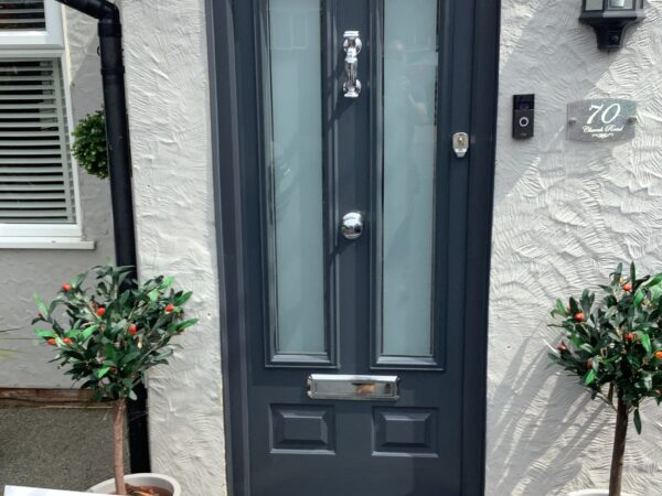 long front door windows panels