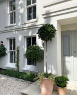 sash windows in essex
