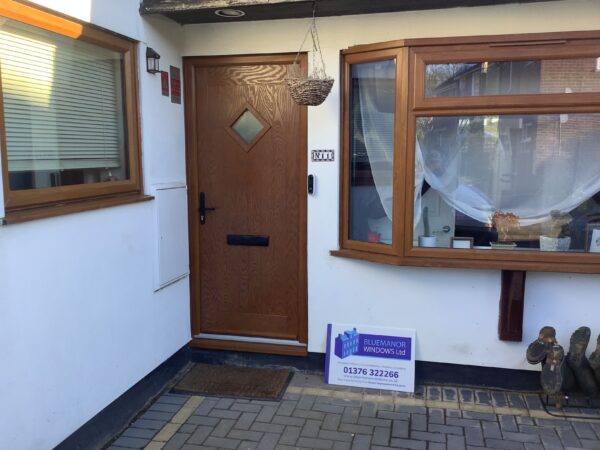 Oak door with frosted panel