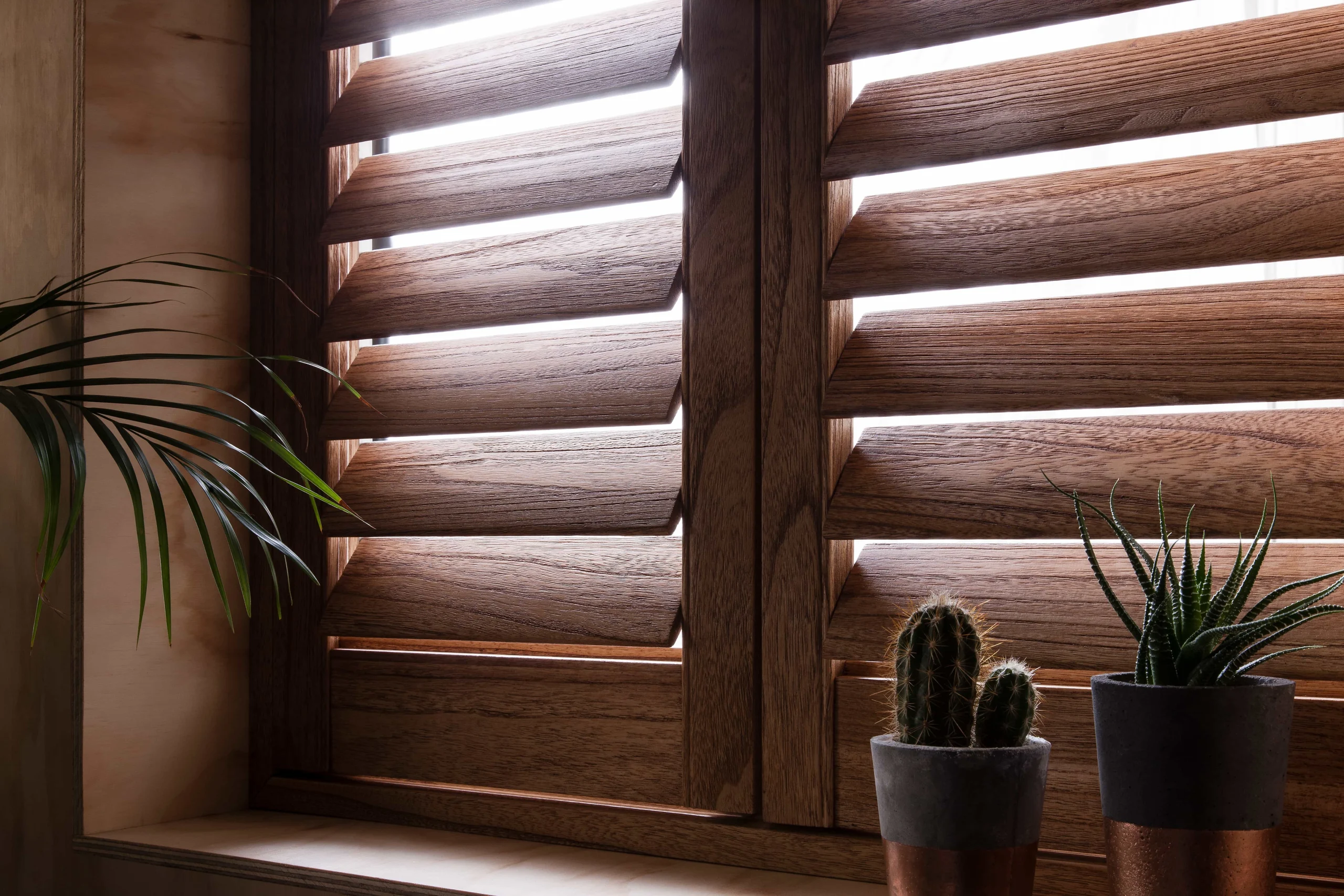 Close-up of natural wood-grain plantation shutters with sunlight filtering through the louvres.